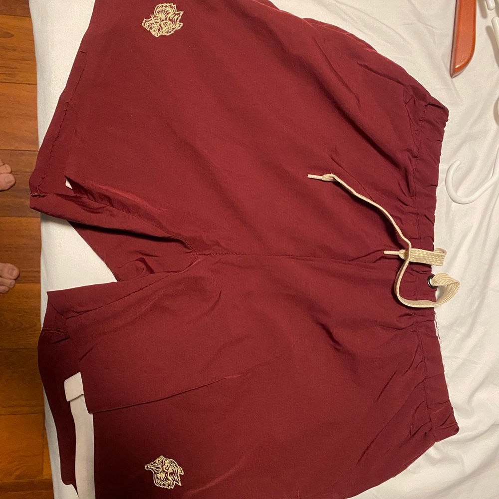 Darc Sport shorts (size Large)
